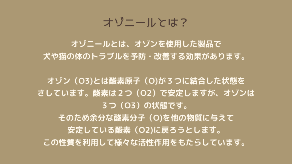 オゾニル水性リーフレット